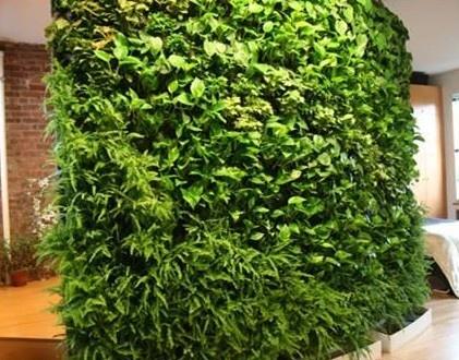 贵州立体绿化材料的植物搭配设计