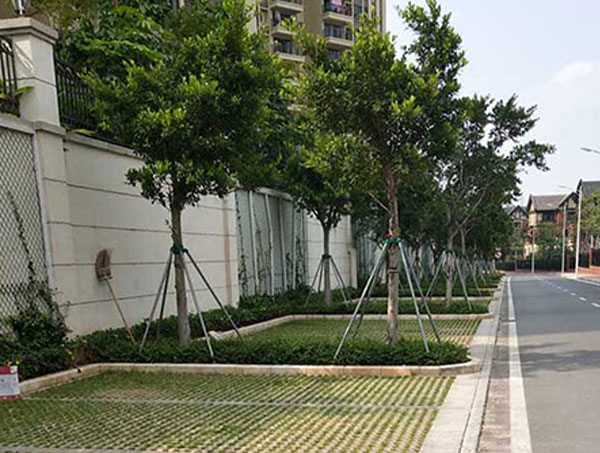 贵州植草砖的功能优势与实际应用 城市绿化铺装专用建材